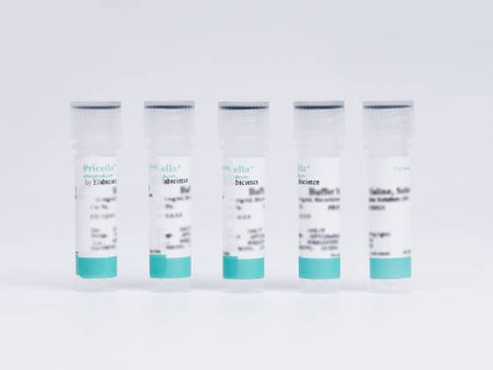 10 mg/mL Recombinant Human Insulin Solution
