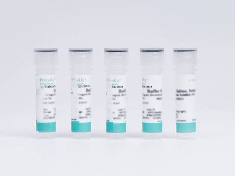 10 mg/mL Recombinant Human Insulin Solution | Elabscience Biotechnology
