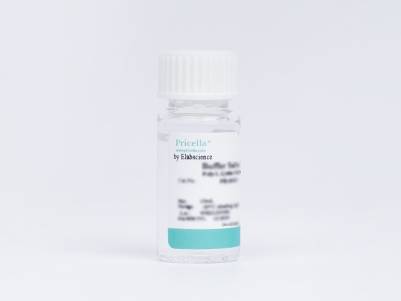 Poly-L-Lysine Solution (10×)
