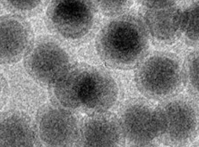 MSE PRO PEG-NH<sub>2</sub> Modified Upconverting Nanoparticles Water Solution, 10mg/bottle, Chemicals and Compounds, MSE Supplies LLC, MSE Supplies