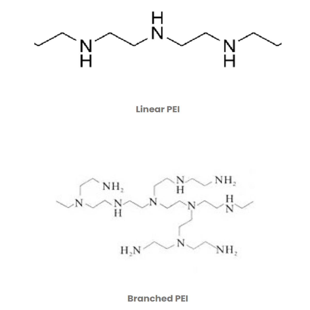 MSE PRO PEI-25K Polyethyleneimine, 25 kg/Barrel - Chemicals and Compounds - MSE Supplies - MSE Supplies