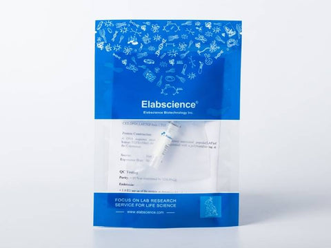 Recombinant Rat CTLA-4/CD152 Protein (ECD, His Tag)