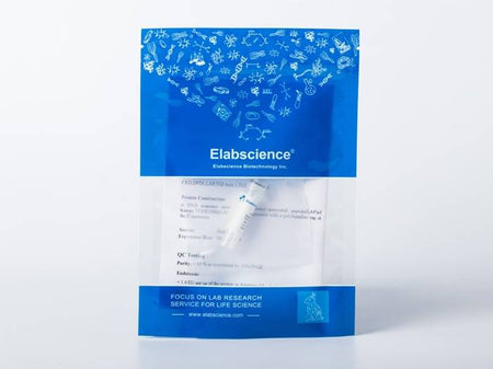 Recombinant Human ACE2 Protein (Fc Tag) Store at < -20°C
