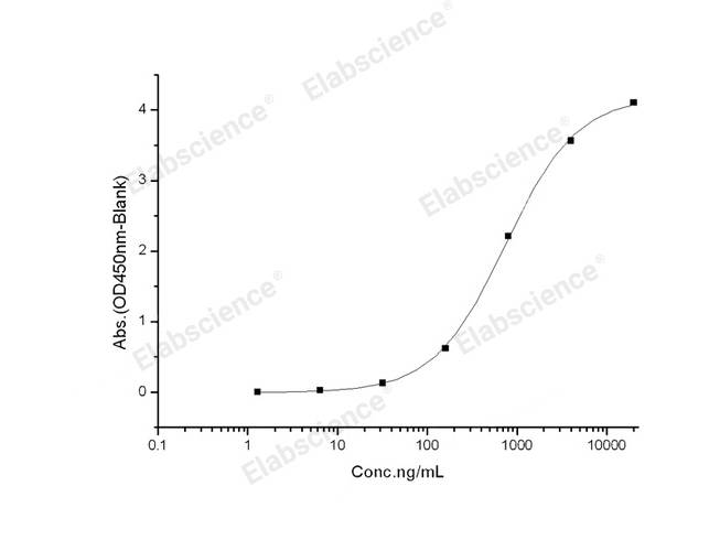 Recombinant 2019-nCoV S1+S2 Protein (ECD, His Tag)