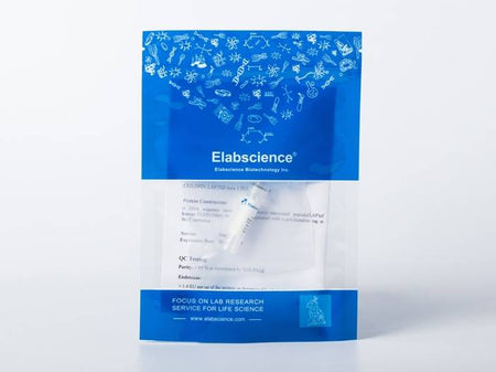 Recombinant 2019-nCoV S1+S2 Protein (ECD, His Tag)