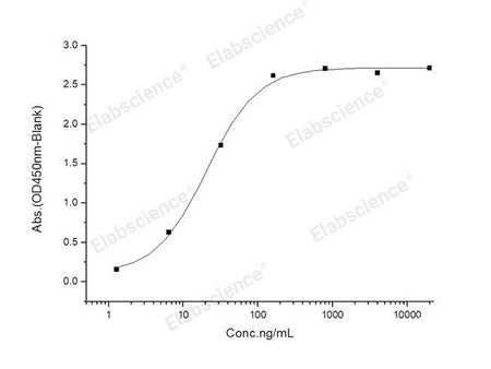 Recombinant 2019-nCoV Spike Protein (RBD, mFc Tag)