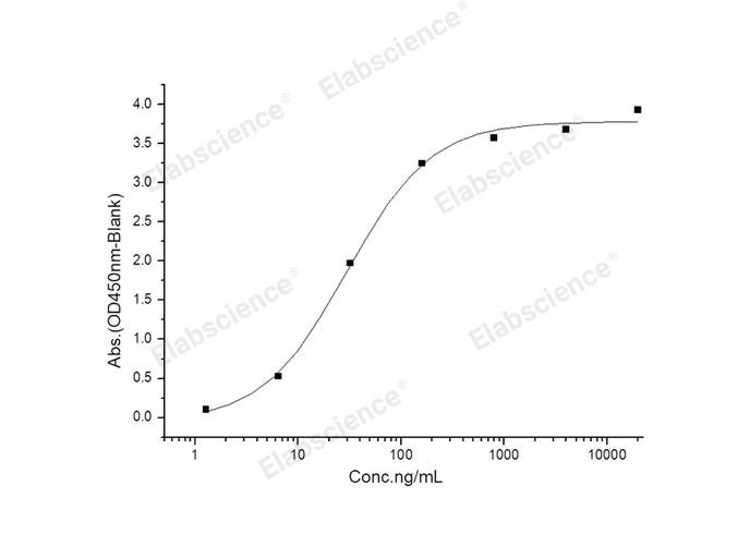 Recombinant 2019-nCoV S1 Protein (Fc Tag)