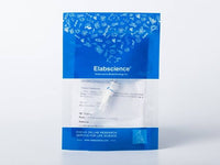 Recombinant 2019-nCoV Papain-like Protease Protein (His Tag)