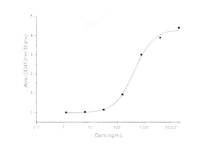 Recombinant 2019-nCoV S1 Protein (His Tag)