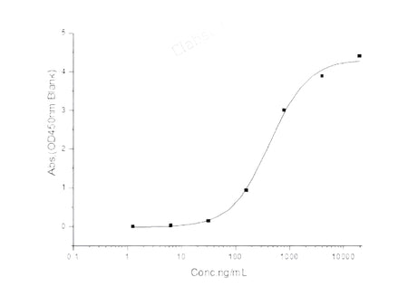 Recombinant 2019-nCoV S1 Protein (His Tag)