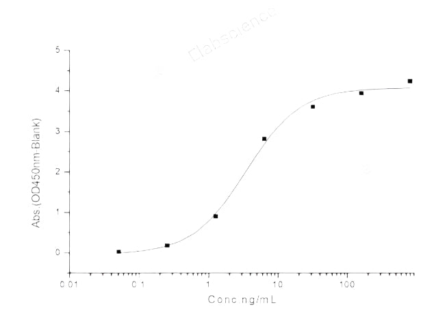 Recombinant 2019-nCoV Spike Protein (RBD, Fc Tag)