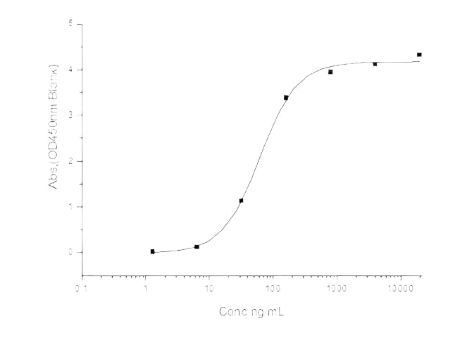 Recombinant 2019-nCoV Spike Protein (RBD, His Tag)