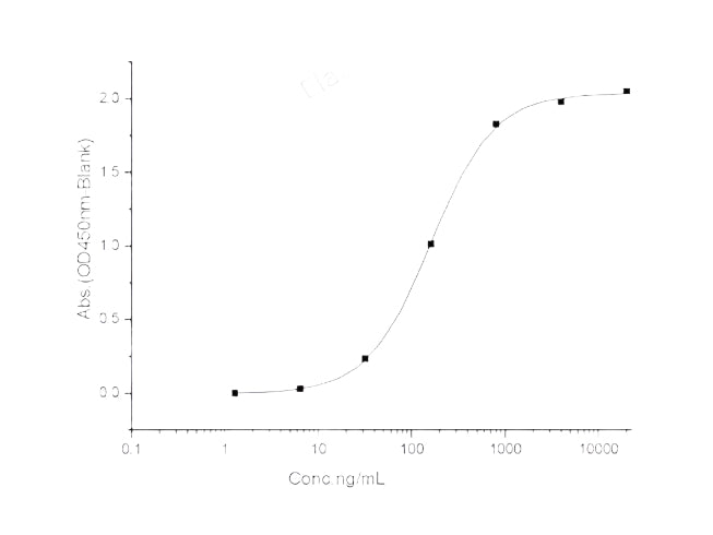 Recombinant 2019-nCoV Spike Protein, Biotinylated (RBD, His Tag)