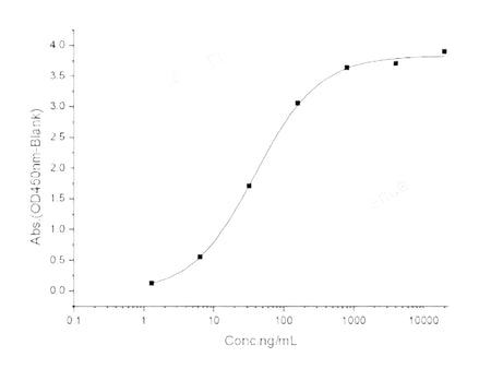 Recombinant 2019-nCoV Spike Protein (RBD)