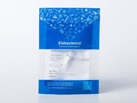 Recombinant EBOV (subtype Bundibugyo, strain Uganda 2007) Glycoprotein / GP-RBD Protein (Fc Tag)
