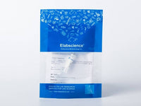 Recombinant EBOV (subtype Bundibugyo, strain Uganda 2007) VP24 Protein (His Tag)