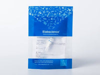 Recombinant EBOV (subtype Sudan, strain Gulu) VP40 / Matrix protein VP40 Protein (His & MBP Tag)