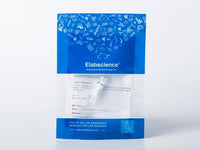 Recombinant EBOV (subtype Zaire, strain H.sapiens-wt/GIN/2014/Kissidougou-C15) Matrix protein VP40 Protein (His Tag)