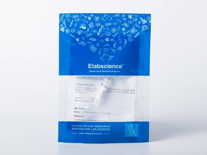 Recombinant EBOV (subtype Zaire, strain Mayinga 1976) Glycoprotein / GP Protein (His Tag)