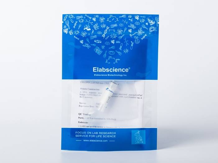 Recombinant Enterovirus D68 (EV-D68) (strain Fermon) VP4 Protein (Fc Tag)