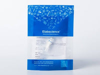 Recombinant HCV Envelope Glycoprotein E1 / HCV-E1 (subtype 1b, strain HC-J4) Protein (His Tag)