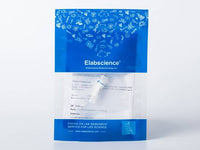 Recombinant HIV-1 (group M, subtype B, strain SHIV-89.6P) gp120 Protein (His Tag)