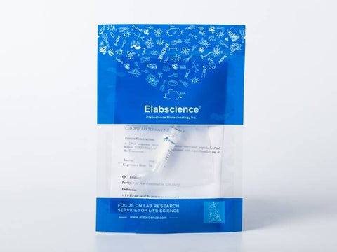 Recombinant HIV-1 gp120 Protein (group P, strain RBF168) (His Tag)