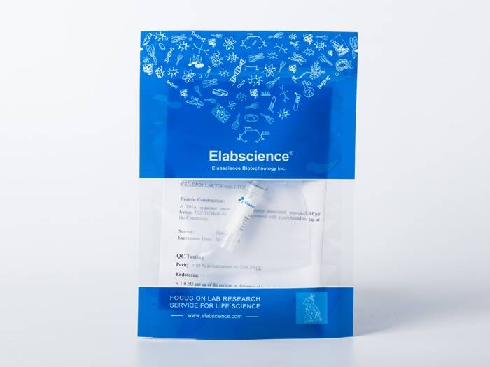 Recombinant HIV-1 gp140 Protein (group P, strain RBF168) (Fc Tag)