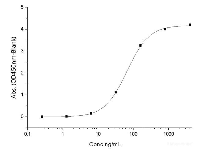 Recombinant SARS-CoV-2 Spike RBD(F490L)(His Tag), Cell Assays, Elabscience Biotechnology, MSE Supplies