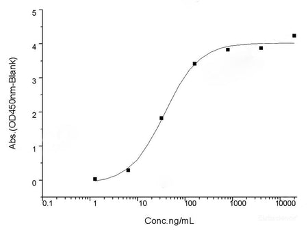 Recombinant SARS-CoV-2 Spike Protein (RBD, His Tag)(W436R)(Active), Cell Assays, Elabscience Biotechnology, MSE Supplies