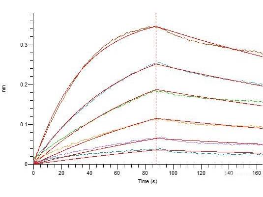 Recombinant SARS-CoV-2 Spike RBD Protein (C-His Tag)(Omicron), Cell Assays, Elabscience Biotechnology, MSE Supplies