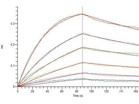 Recombinant SARS-CoV-2 Spike RBD Protein (C-His Tag)(Omicron), Cell Assays, Elabscience Biotechnology, MSE Supplies