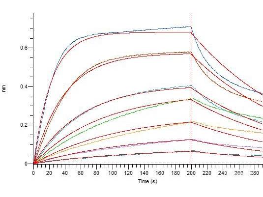 Recombinant SARS-CoV-2 Spike RBD Protein (C-His Tag)(Omicron), Cell Assays, Elabscience Biotechnology, MSE Supplies