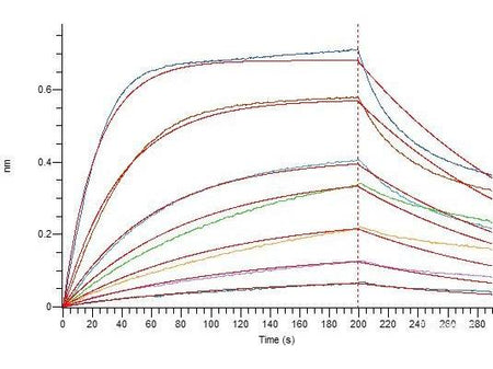 Recombinant SARS-CoV-2 Spike RBD Protein (C-His Tag)(Omicron), Cell Assays, Elabscience Biotechnology, MSE Supplies