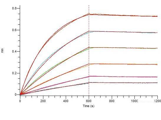 Recombinant SARS-CoV-2 S1+S2 Trimer Protein (C-His Tag)(Omicron), Cell Assays, Elabscience Biotechnology, MSE Supplies