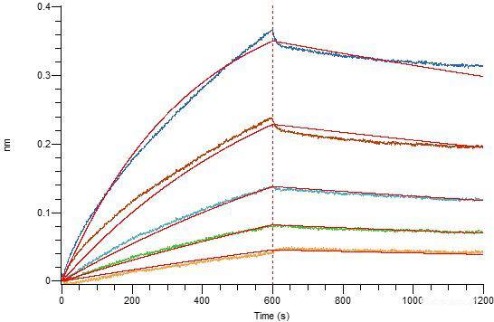 Recombinant SARS-CoV-2 S1+S2 Trimer Protein (C-His Tag)(Omicron), Cell Assays, Elabscience Biotechnology, MSE Supplies