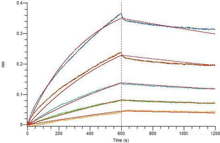Recombinant SARS-CoV-2 S1+S2 Trimer Protein (C-His Tag)(Omicron), Cell Assays, Elabscience Biotechnology, MSE Supplies