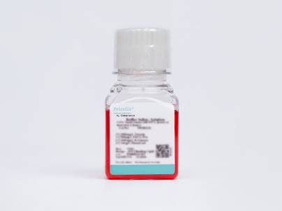 Nanobacteria Removal Complete Medium (DMEM, High Glucose)