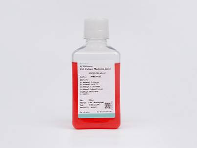 DMEM (High Glucose) (without Sodium Pyruvate,  with PS)