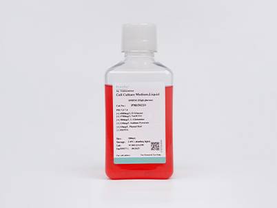 DMEM (High Glucose) (without L-glutamine, with PS)

