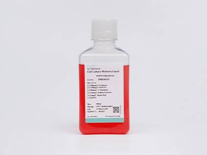DMEM (High Glucose) (with HEPES, PS, without Sodium Pyruvate)