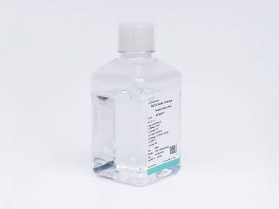 DMEM (High Glucose) (with HEPES, without L-glutamine, Sodium Pyruvate)