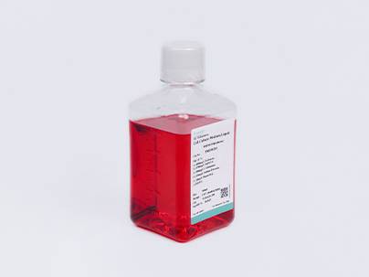 DMEM (Glucose Free) (with L- alanyl -L-glutamine, without Sodium Pyruvate)
