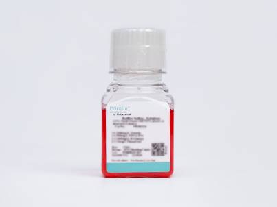Mycoplasma Removal Medium (MEM, with NEAA)