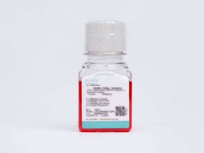 Nanobacteria Removal Complete Medium (MEM, with NEAA)