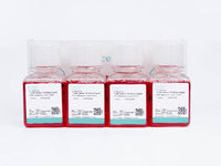 MEM (with NEAA) Complete Medium