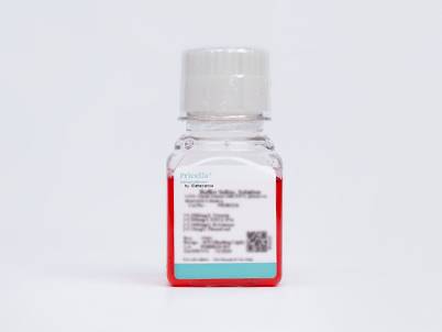 Mycoplasma Removal Medium (MEM)