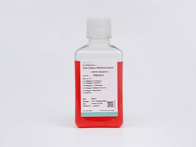 MEM (without L-glutamine, with PS)