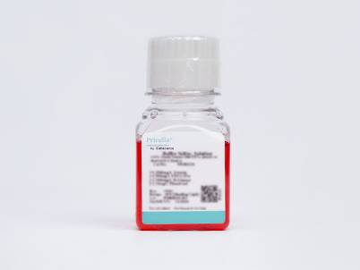 Mycoplasma Removal Medium (MEMα)