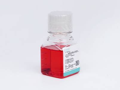 Mycoplasma Removal Medium (MEMα, without Nucleoside)